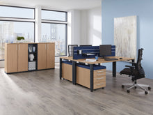 Lade das Bild in den Galerie-Viewer, Büromöbel/Aktenschränke/Aktenschrank/Palmberg/Prisma