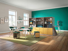 Lade das Bild in den Galerie-Viewer, Büromöbel/Aktenschränke/Aktenschrank/Palmberg/Prisma