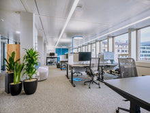 Lade das Bild in den Galerie-Viewer, Stehleuchte/Büroleuchte Basic Neo S2