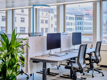 Lade das Bild in den Galerie-Viewer, Stehleuchte/Büroleuchte Basic Neo S2