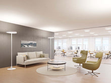 Lade das Bild in den Galerie-Viewer, Büromöbel/Büroleuchte/Stehleuchte/Solo Slim