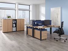 Lade das Bild in den Galerie-Viewer, Büromöbel/Aktenschränke/Aktenschrank/Palmberg/Prisma