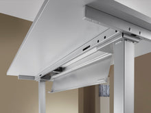 Lade das Bild in den Galerie-Viewer, Stehpult HBB1