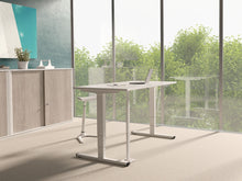 Lade das Bild in den Galerie-Viewer, Büromöbel/Schreibtisch/Stehpult/WIR Aktion