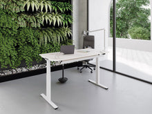 Lade das Bild in den Galerie-Viewer, Büromöbel/Schreibtisch/Sitzstehtisch/Palmberg CREW-T